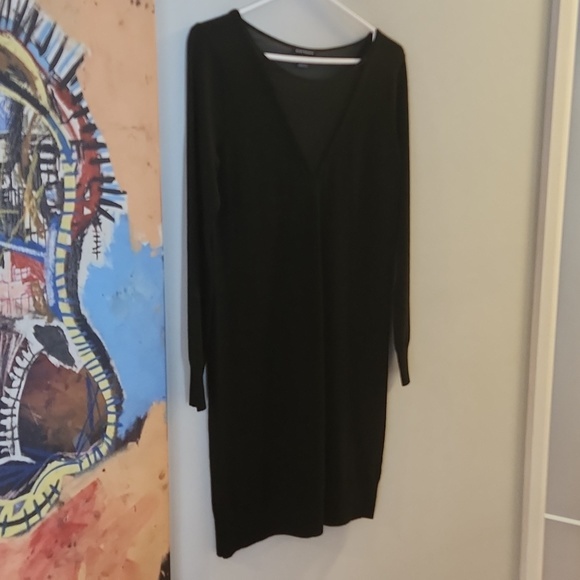 Club Monaco Sweater Dress with sheer v-neck - Picture 1 of 4